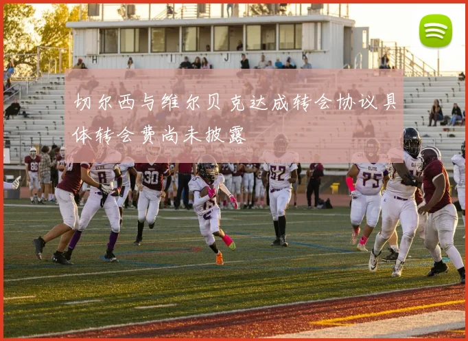 切尔西与维尔贝克达成转会协议具体转会费尚未披露